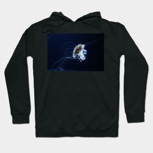 Jellyfish Hoodie